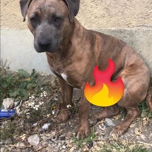 Meet your Posher, Saul